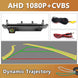 AHD 1080P Rückfahrkamera mit dynamischen Linien für Mercedes-Benz ML, GLA, GLC, GLE, Vito, Viano, A-Klasse