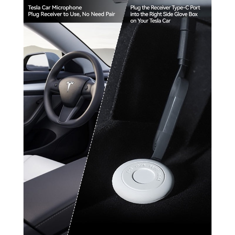 Q1-Tesla-Mikrofon, KaraokeMic, kabelloses Handmikrofon mit 4 Joy-Effekten, wiederaufladbares Mikrofon mit Typ-C-Empfänger und USB-Konverter