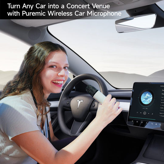 Q1-Tesla-Mikrofon, KaraokeMic, kabelloses Handmikrofon mit 4 Joy-Effekten, wiederaufladbares Mikrofon mit Typ-C-Empfänger und USB-Konverter