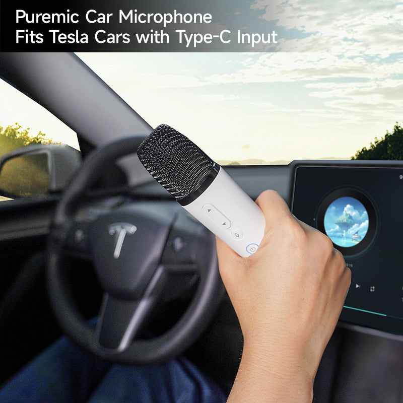 Q1-Tesla-Mikrofon, KaraokeMic, kabelloses Handmikrofon mit 4 Joy-Effekten, wiederaufladbares Mikrofon mit Typ-C-Empfänger und USB-Konverter