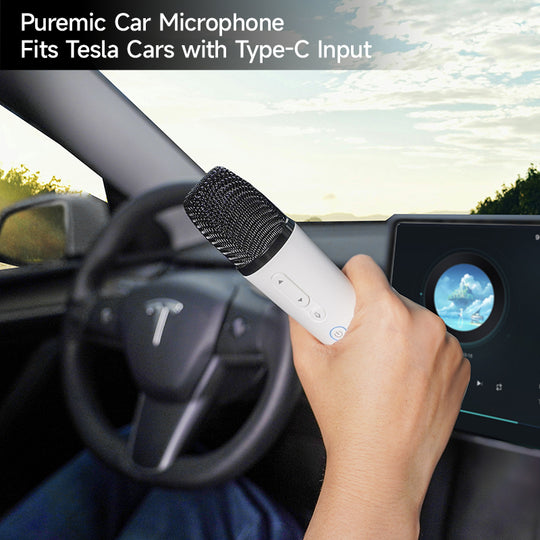 Q1-Tesla-Mikrofon, KaraokeMic, kabelloses Handmikrofon mit 4 Joy-Effekten, wiederaufladbares Mikrofon mit Typ-C-Empfänger und USB-Konverter