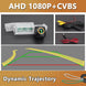 AHD 1080P CCD Rückfahrkamera mit statischen Linien für VW und SEAT (Golf 5-7, Passat B7/B8, T-Roc, Käfer A5, Ibiza MK3-5, Leon, Toledo, Altea XL)