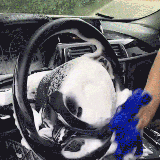 Car Magic Foam Cleaner